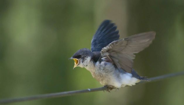 4x5RbDeipyKy75Sm3g3N1j2a8g4BeFCtuenw_0tViQo