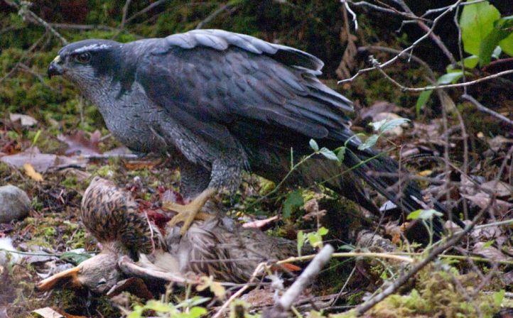 fHkg8nzHwBwRfATp_nucn1xXPyjLqvWLTgM3liV5c8k