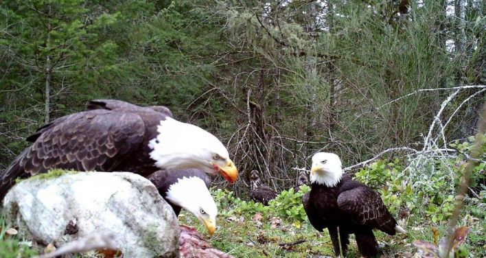 zzD2-irNhB89-8qFRmSKnGRZiANNL5xW5o_uYb5z9D8